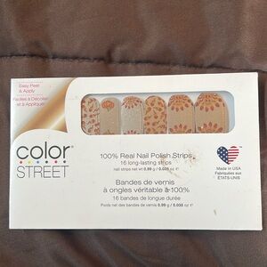 Color Street Nail Polish Turkey Feathered Friends